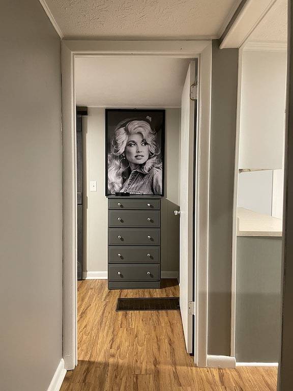 Dolly inspired 1940s 2 bedroom Bungalow near Laurel Lake, hiking, and more in Daniel Boone National Forest