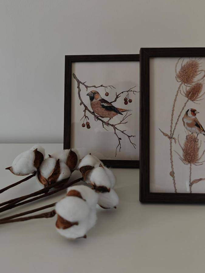 Gîte pour 4 personnes, avec vue et terrasse à Saint-Quentin-sur-le-Homme - 3