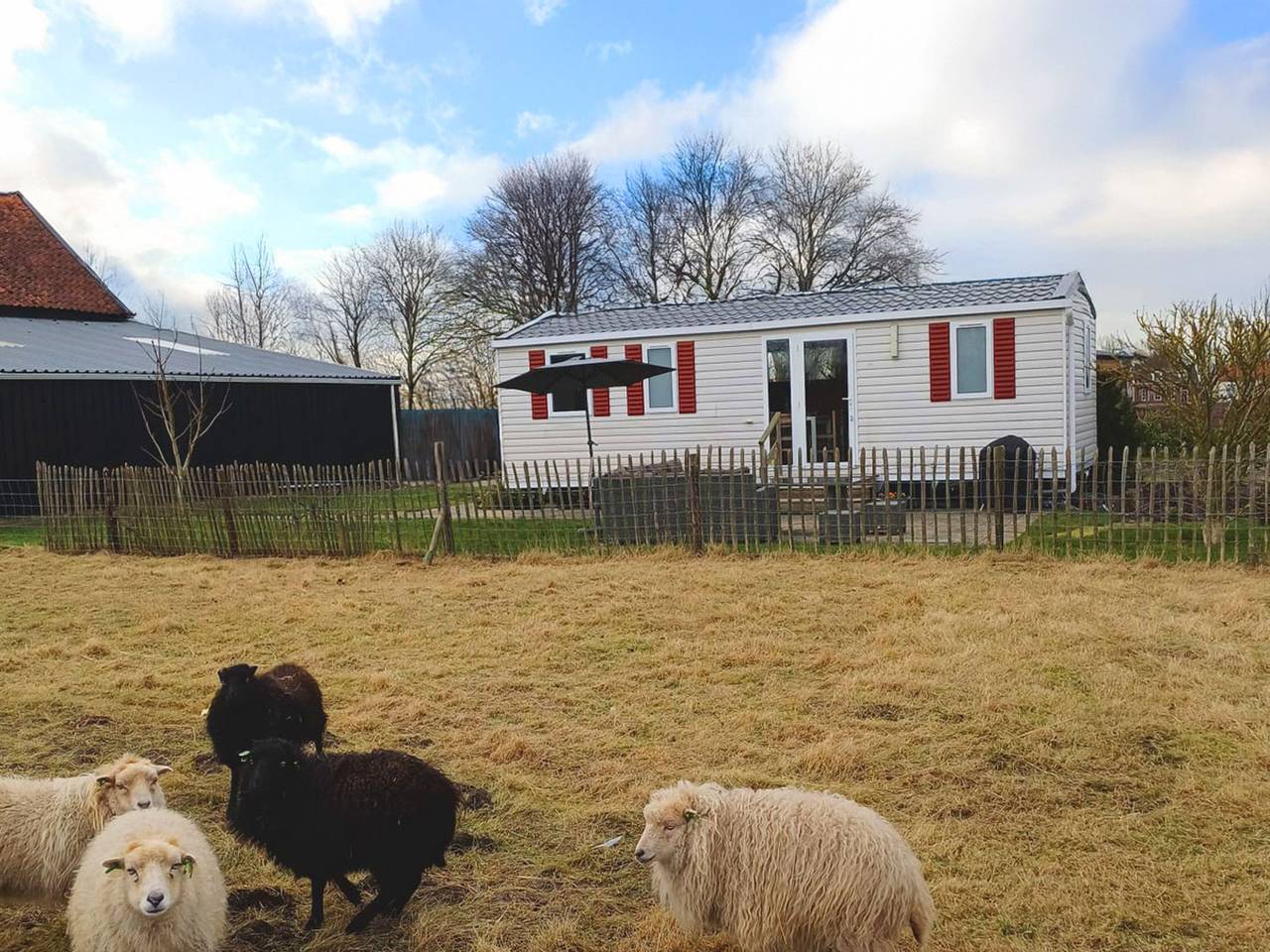Camping Hofstede Zonnevliet - Zeeuwse Knoop in Zonnemaire, Zeeuwse Kust