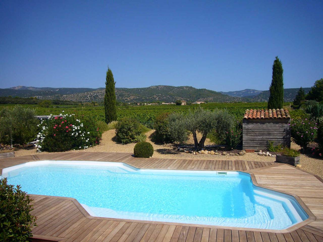 Domaine Condamines - Picholine in Saint-Jean-de-Fos, Région de Lodève