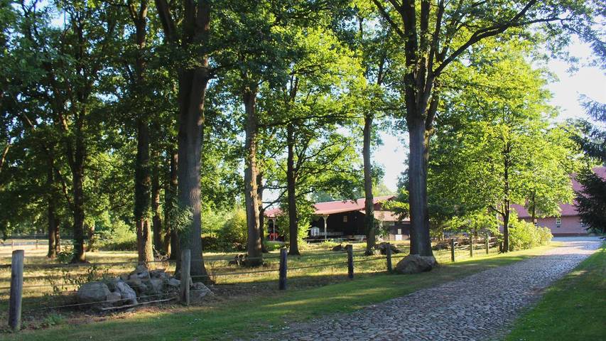 Ferienhaus für 5 Personen, mit Garten in Soltau - 3