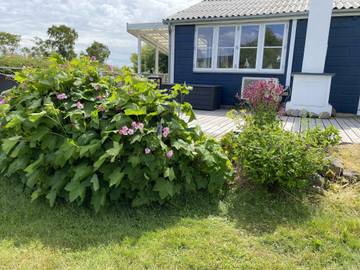 Ferieudlejning til 6 Personer i Sandkås, Allinge-Sandvig, Billede 1