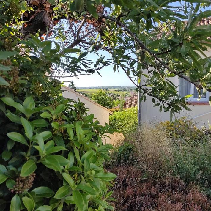 Gîte pour 4 personnes, avec jardin et vue à Saint-Georges-d'Orques - 2