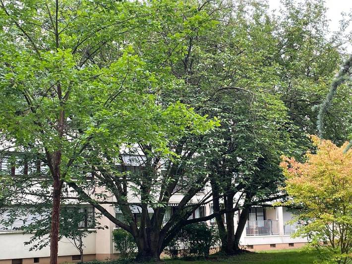 Gîte pour 3 personnes, avec balcon et vue à Chennevières-sur-Marne - 2