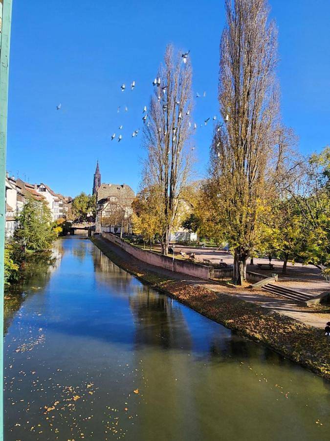 Entire apartment, Apartment with Garden View in Strasbourg, Strasbourg region