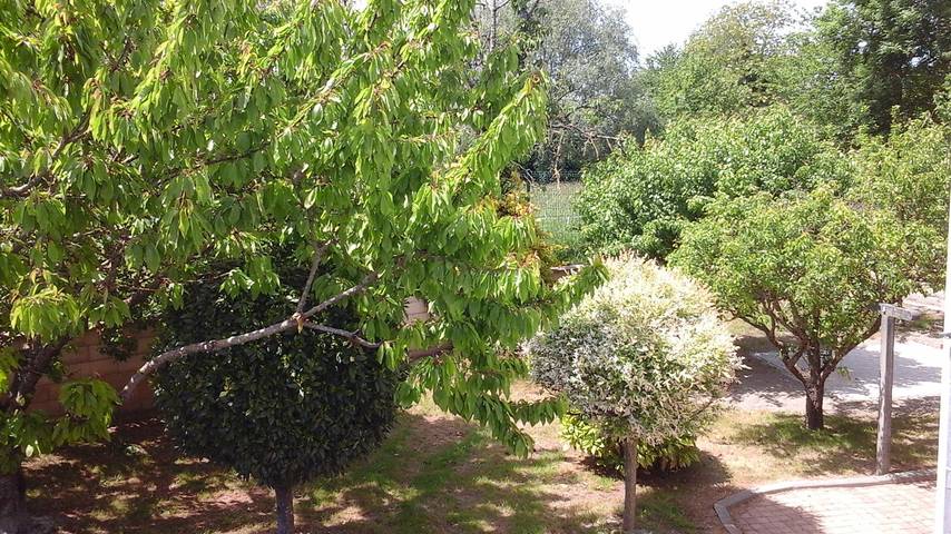 Gîte pour 2 personnes, avec jardin et terrasse à Le Val-Saint-Père - 4