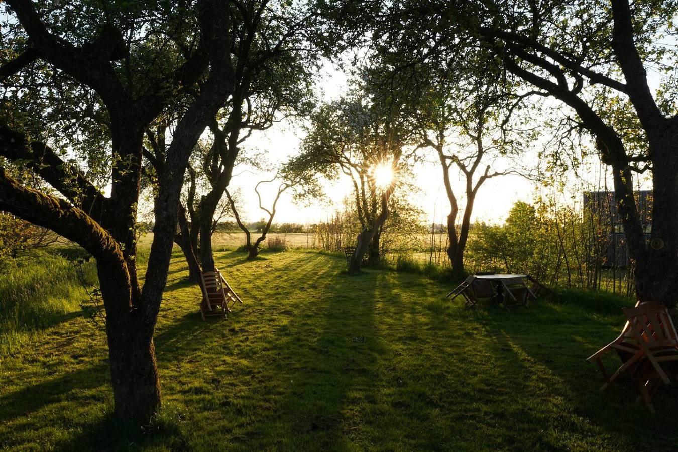 Pean-buiten — Bleipet Weidesuite in Littenseradiel, Friesland