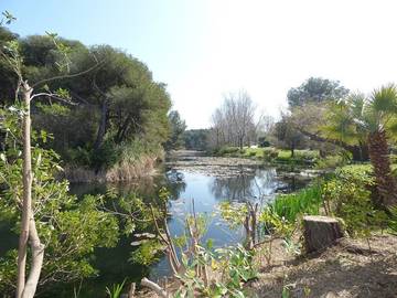 Appartement De Vacances pour 4 Personnes dans La Coudoulière, Six-Fours-les-Plages, Photo 2