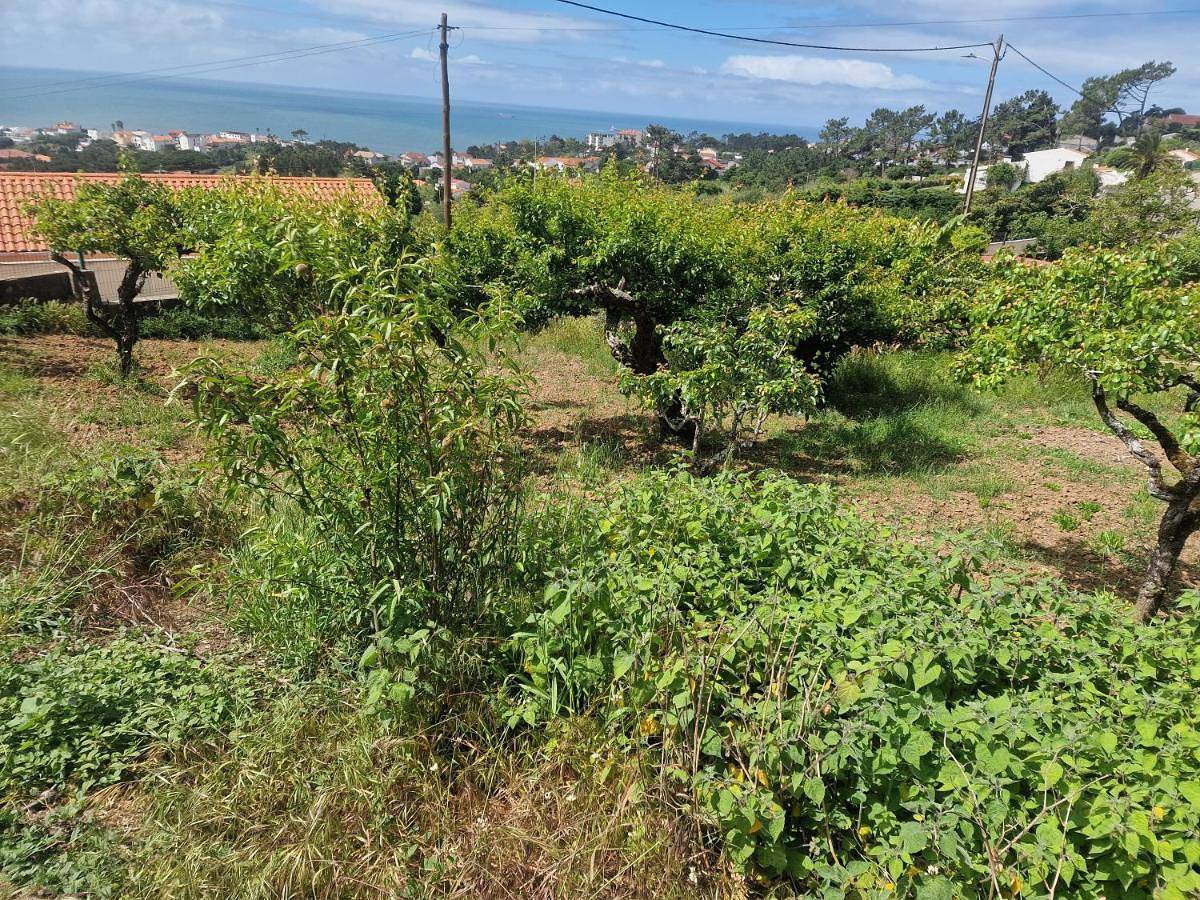 Quinta da Avó Bella in Buarcos, Figueira da Foz