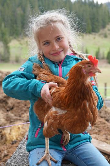 Ferienwohnung für 6 Personen in Hochfilzen, Kitzbüheler Alpen, Bild 2
