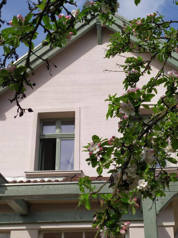 Ferienwohnung für 5 Personen, mit Sauna und Terrasse in Himmelpfort - 2