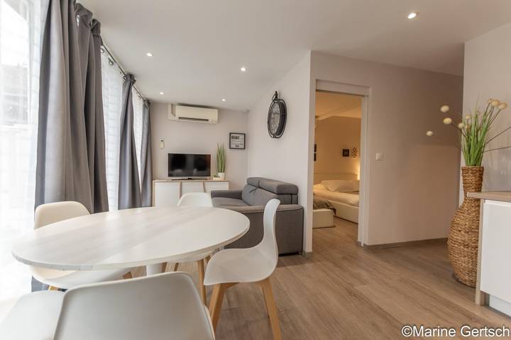 Gîte pour 3 personnes, avec terrasse à Dizy
