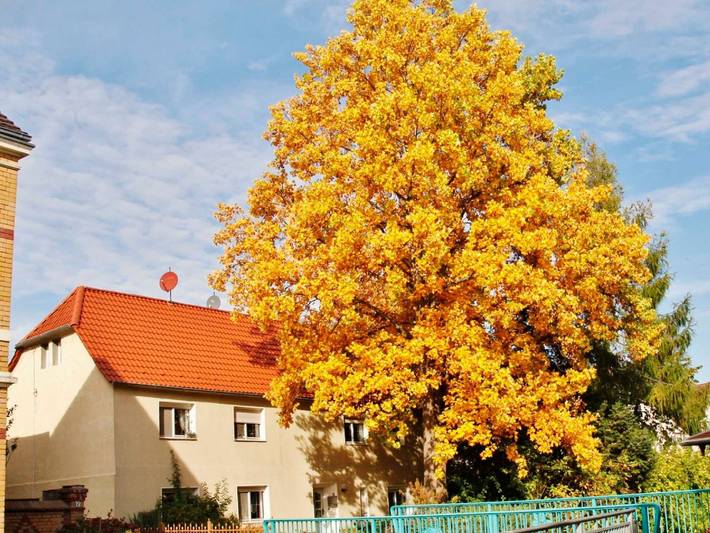 Ganze Ferienwohnung, Ferienwohnung Hanschke - Ferienwohnung in Hoyerswerda, Lausitzer Seenland