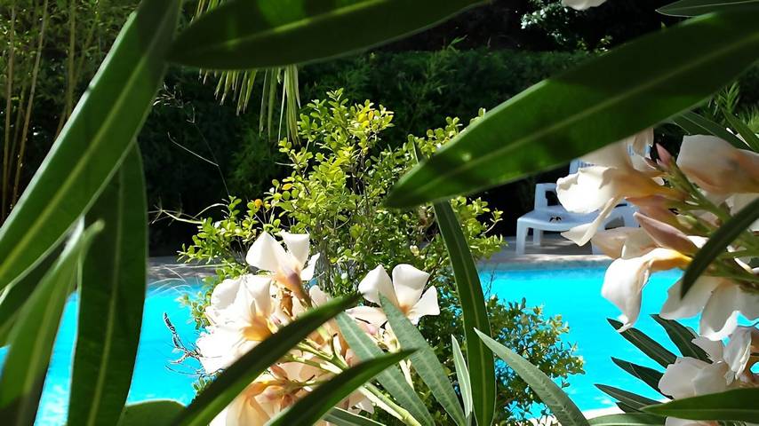 Location de vacances pour 4 personnes, avec terrasse ainsi que jardin et piscine en Corse-du-Sud - 2