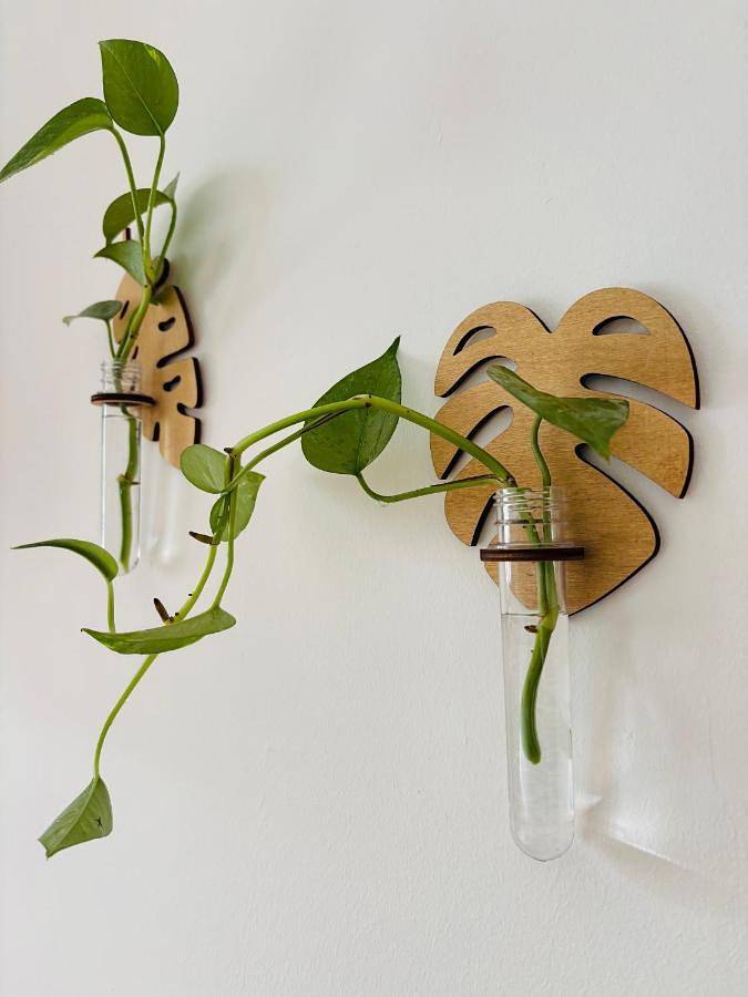 Location de vacances pour 2 personnes, avec vue ainsi que piscine et jardin à Noicàttaro - 2