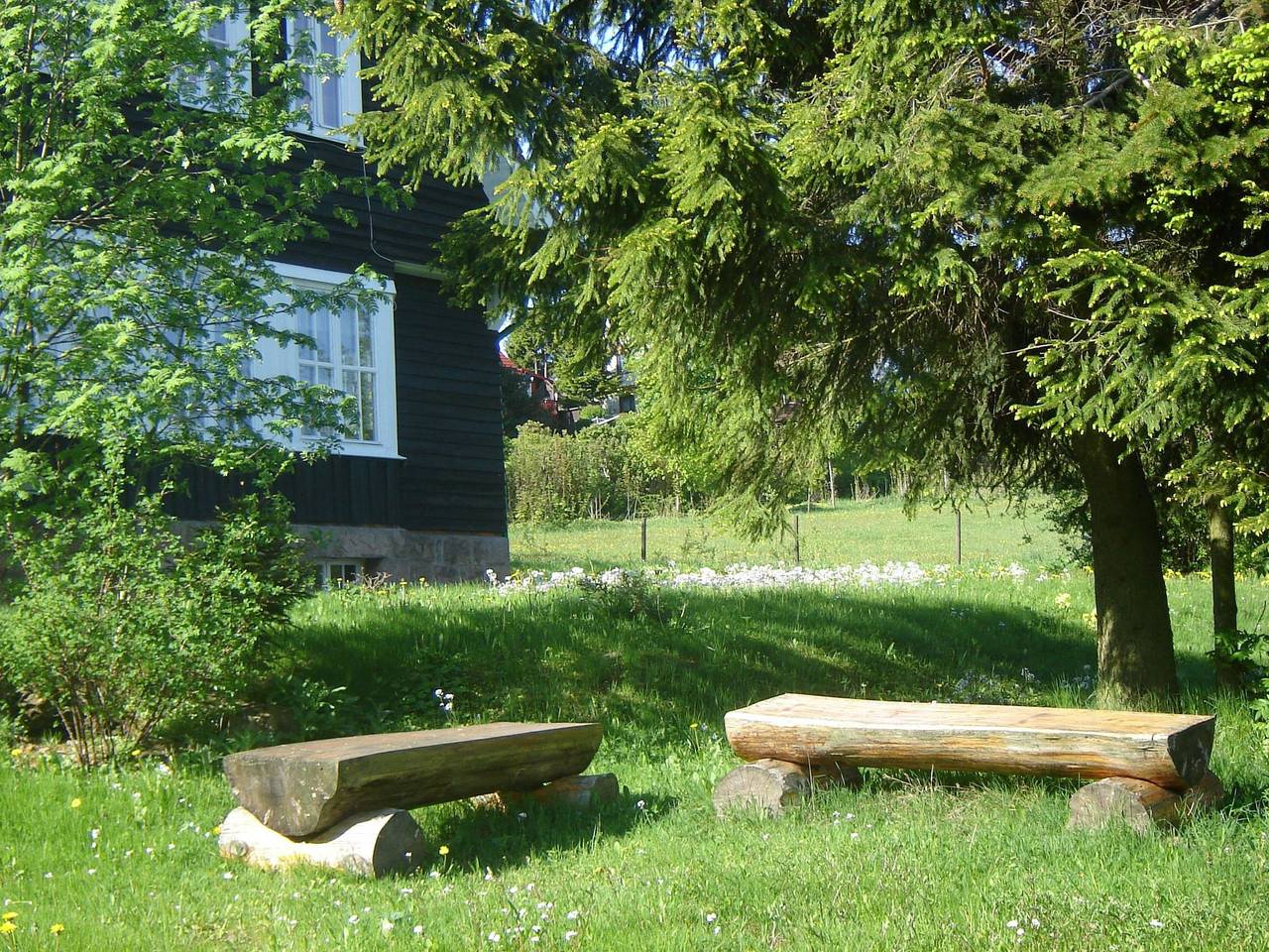 Freistehendes Ferienhaus in ruhiger Lage in Hohegeiß, Harzvorland