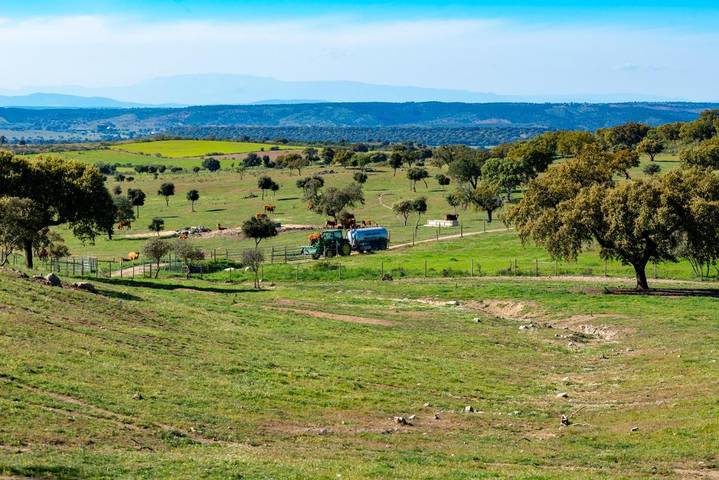Chalet para 5 personas, con Balcón y Terraza además de Jardín y Piscina en Sierra de Gata - 2