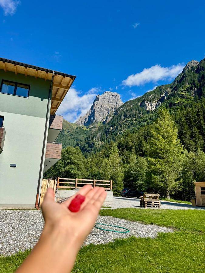 Ferienwohnung für 4 Personen, mit Garten und Ausblick, kinderfreundlich in Brenner