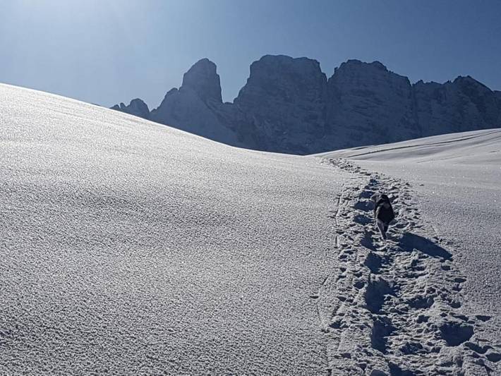 Gîte pour 8 personnes, avec vue et jardin, animaux acceptés dans Candide - 2