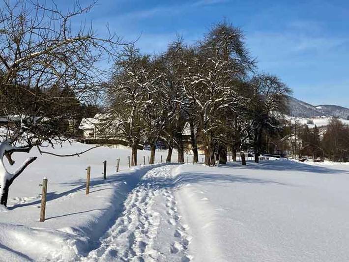Ferienhaus für 4 Personen, mit Garten und Terrasse in Österreich - 3