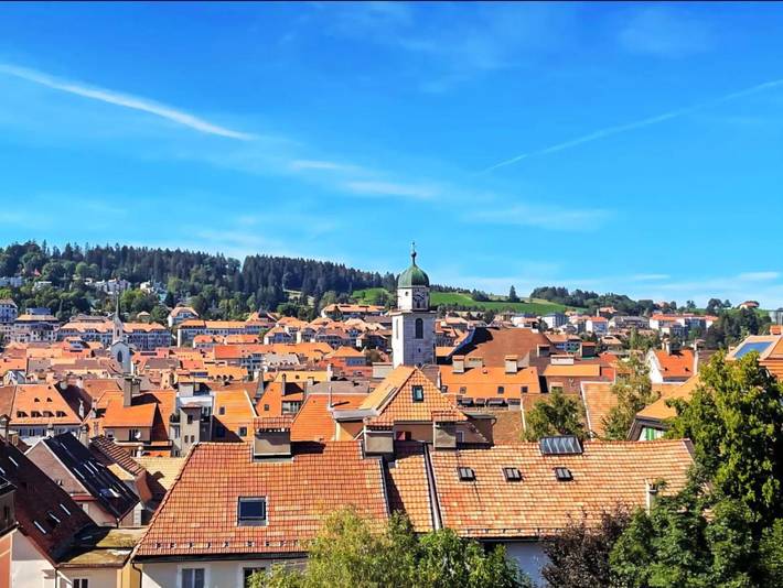 Gîte pour 3 personnes, avec vue à La Chaux-de-Fonds - 4