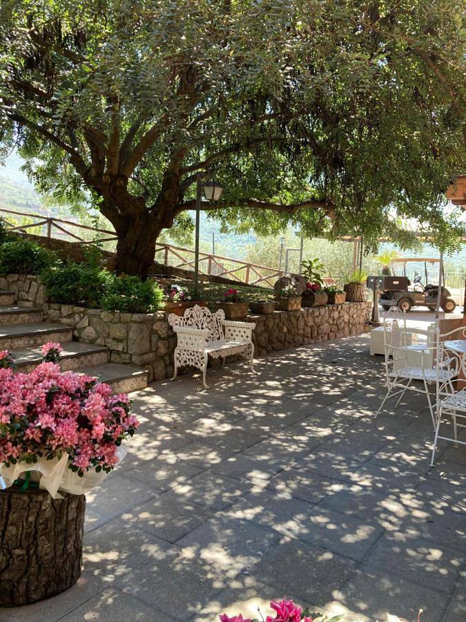 Agriturismo Nonno Luigino in Vico Equense, Monti Lattari