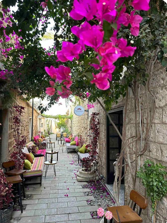 Maison d’hôte pour 2 personnes, avec jardin et terrasse à Chypre - 4