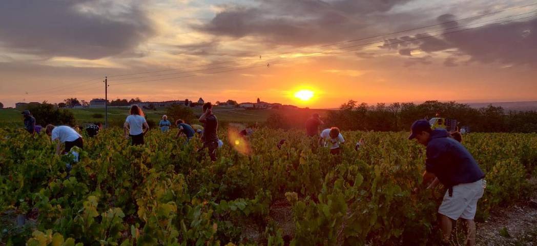 Location de vacances pour 15 personnes, avec piscine à Fleurie - 2