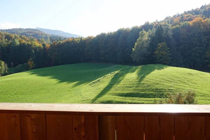 Ferienwohnung für 2 Personen, mit Ausblick und Terrasse in Fuschl am See - 3