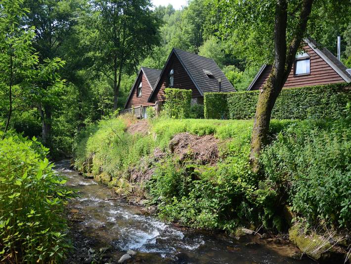 Gîte pour 6 personnes, avec piscine et terrasse ainsi que jardin et jacuzzi, animaux acceptés à Malmedy - 4