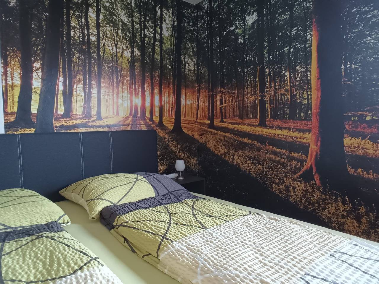 Ganze Ferienwohnung, Ferienwohnung Schruttke - Ferienwohnung mit drei Räumen in Bad Frankenhausen, Region Kyffhäuser
