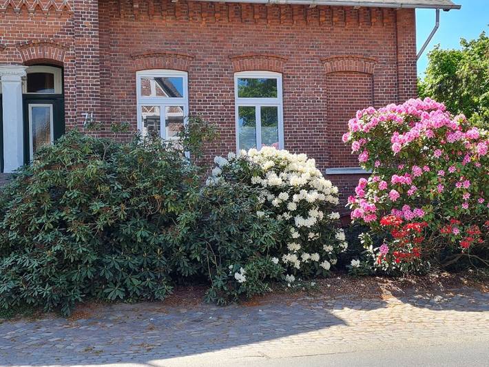 Ferienhaus für 2 Personen, mit Garten in Jork - 4