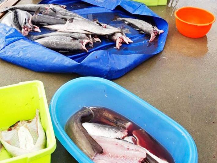 Ferienhaus für 4 Personen, mit Terrasse in Bremanger - 4