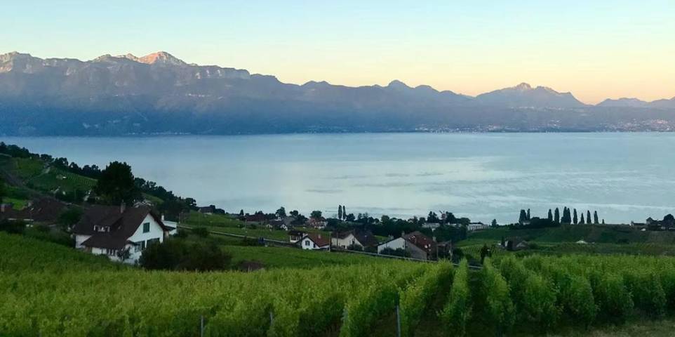 Gîte pour 6 personnes, avec vue sur le lac ainsi que vue et jardin à Lutry - 3