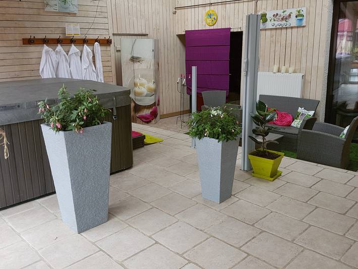 Villa pour 20 personnes, avec piscine et terrasse, animaux acceptés dans Lorraine - 4