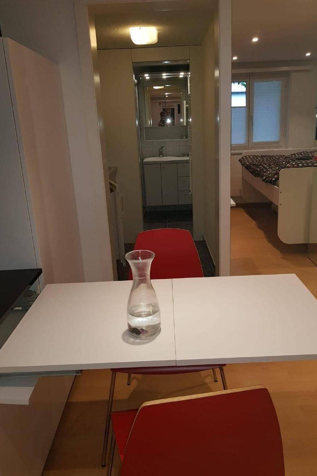 Entire apartment, Holiday apartment for 2 people with garden in Ingenbohl, Lake Lucerne