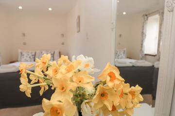 Cottage for 2 People in Kingswear, Devon, Photo 4