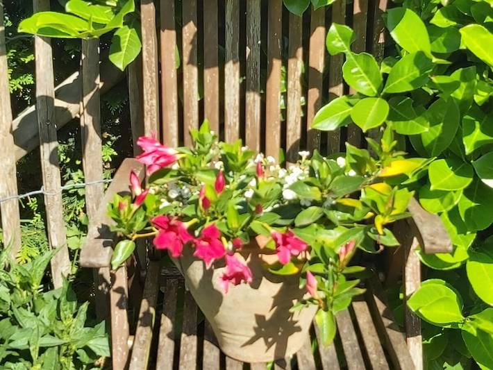Ferienhaus für 2 Personen, mit Terrasse und Garten in Kall
