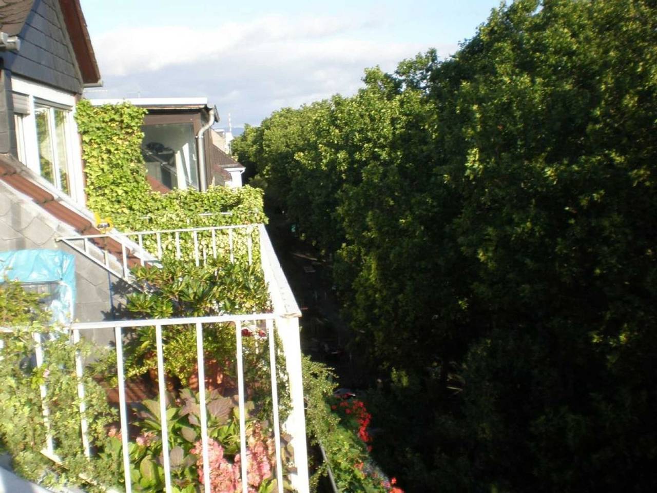 Ganze Ferienwohnung, City-Appartement Mainz Stadtmitte in Mainz, Rheinhessen