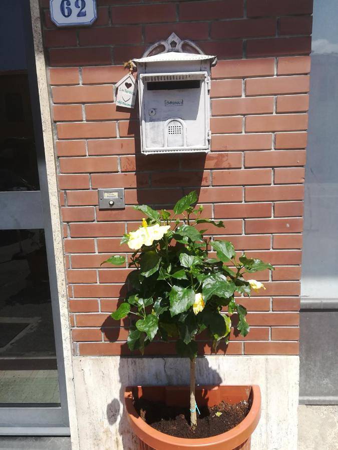 Maison d’hôte pour 3 personnes, avec balcon dans San Piero a Sieve - 4