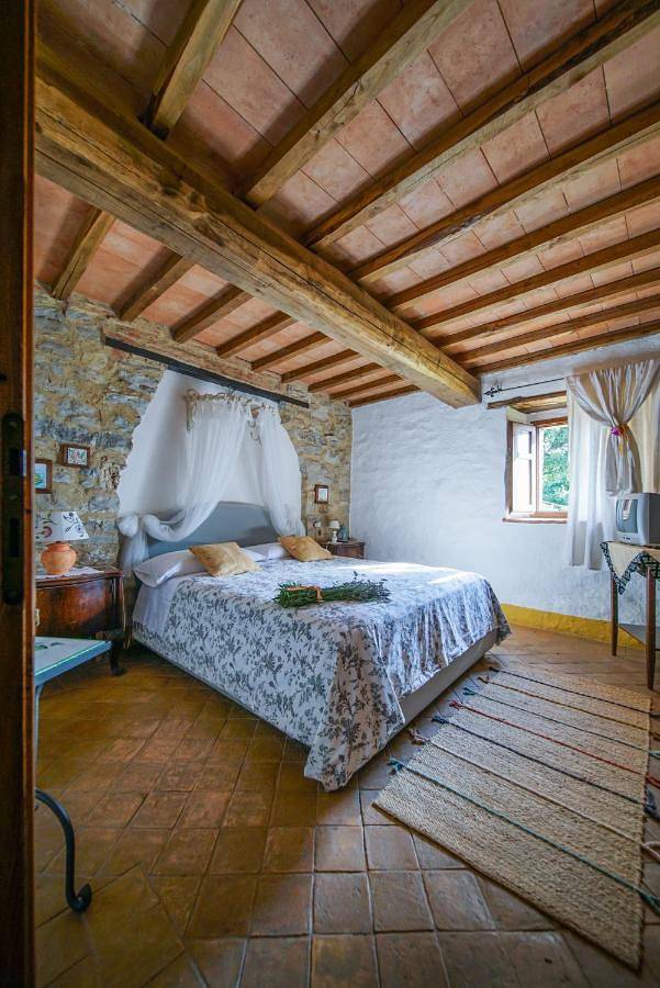Chambre d’hôte pour 2 personnes, avec vue ainsi que vue sur le lac et jardin, animaux acceptés en Toscane - 2