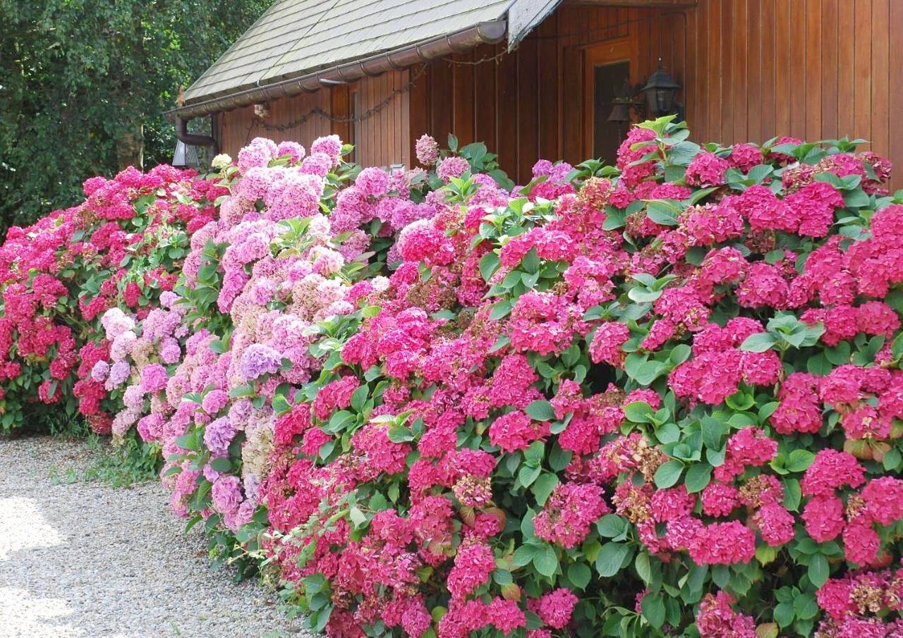 Family Room with Private Bathroom in Crouay, Région de Bayeux