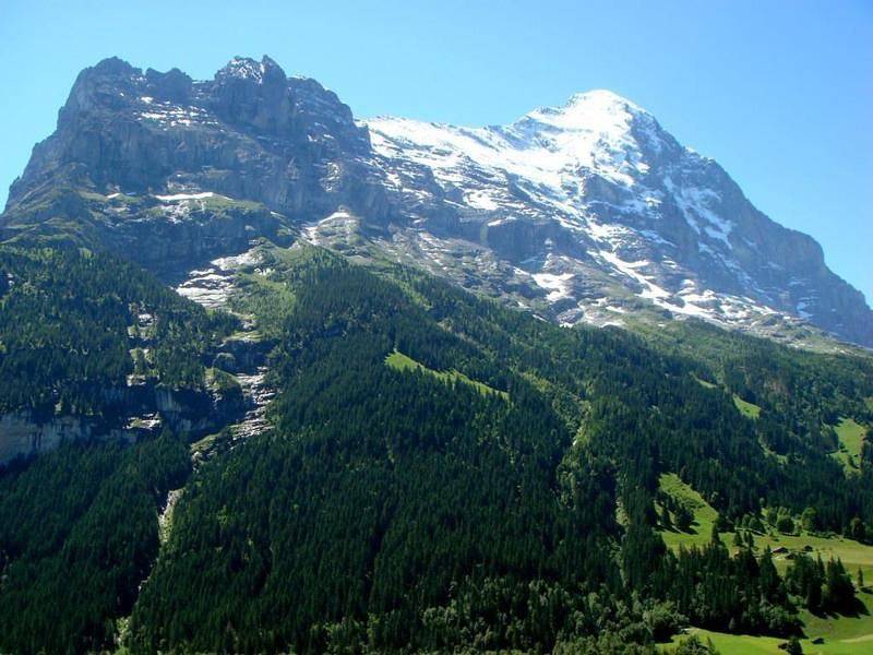 Ganze Ferienwohnung, Chessibach 2,5 Zimmer-Wohnung in Grindelwald, Grindelwald und Umgebung