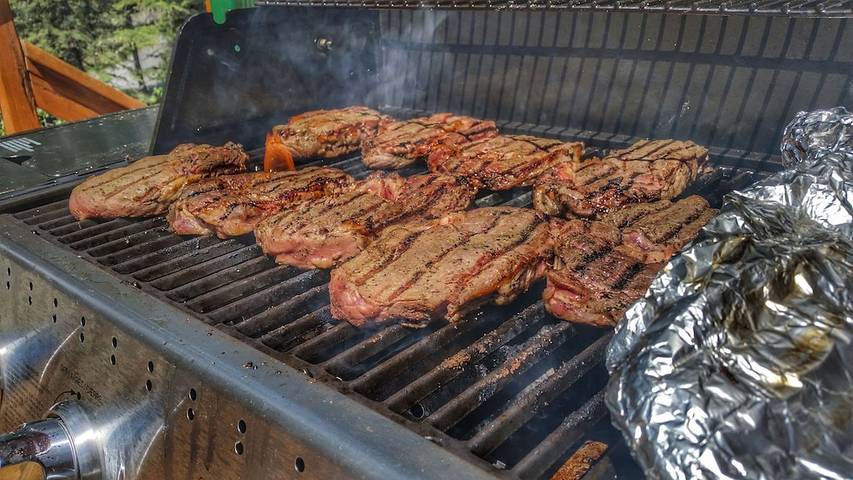 Cabane en bois pour 4 personnes, avec terrasse, animaux acceptés dans Canada - 3