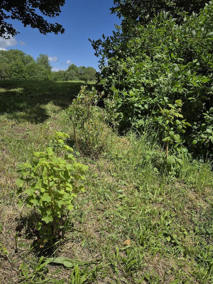 Ferienwohnung für 2 Personen, mit Garten an der Rhön - 4