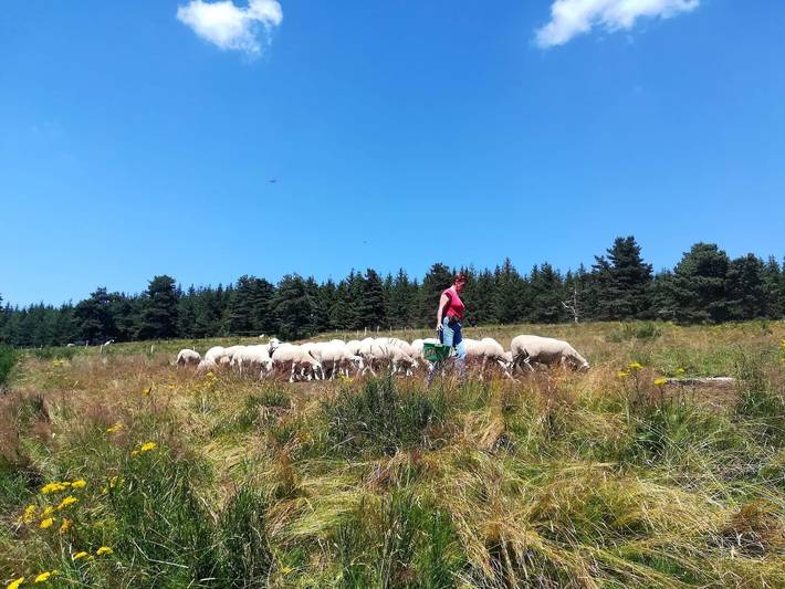 Location de vacances pour 5 personnes en Ardèche - 2