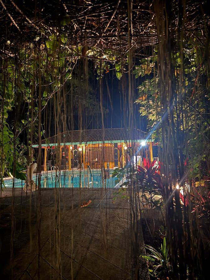 Chambre d’hôte pour 3 personnes, avec jardin ainsi que vue et piscine dans Ko Kho Khao