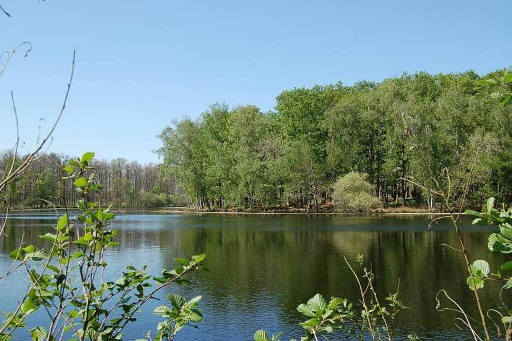 Aux abords de la forêt in Fougeré, Région de La Roche-sur-Yon