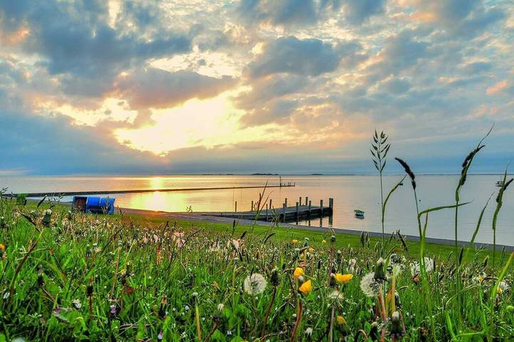 Ferienhaus für 7 Personen, mit Sauna und Garten sowie Balkon - 1