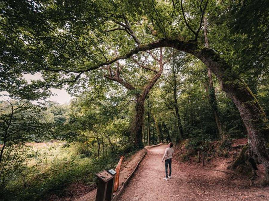 Vvf Villages - Fouesnant Les Glénan - Fouesnant - Casa rural 5 personas - Casa rural 2 habitaciones in Côte de Cornouaille